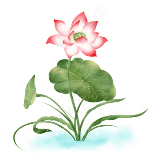 小清新水彩荷花
