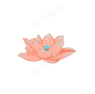 粉色莲花荷花水生植物