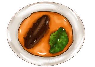 手绘冬季食物海参西蓝花