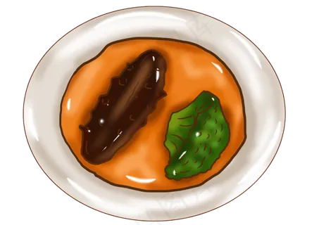 手绘冬季食物海参西蓝花 手绘冬季食物海参西蓝花