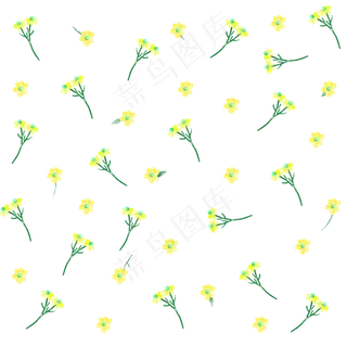 手绘水彩小黄花