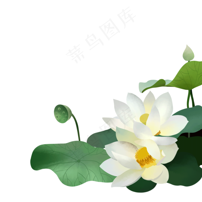 清新荷花夏季植物元素免费下载