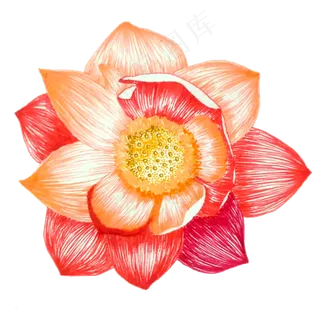 红色卡通手绘荷花免抠图