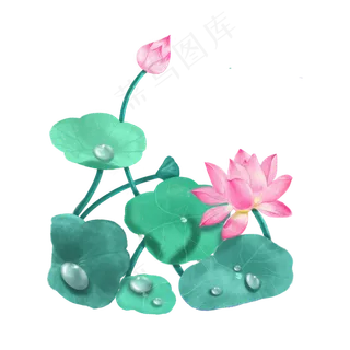 夏天立夏唯美荷花荷叶