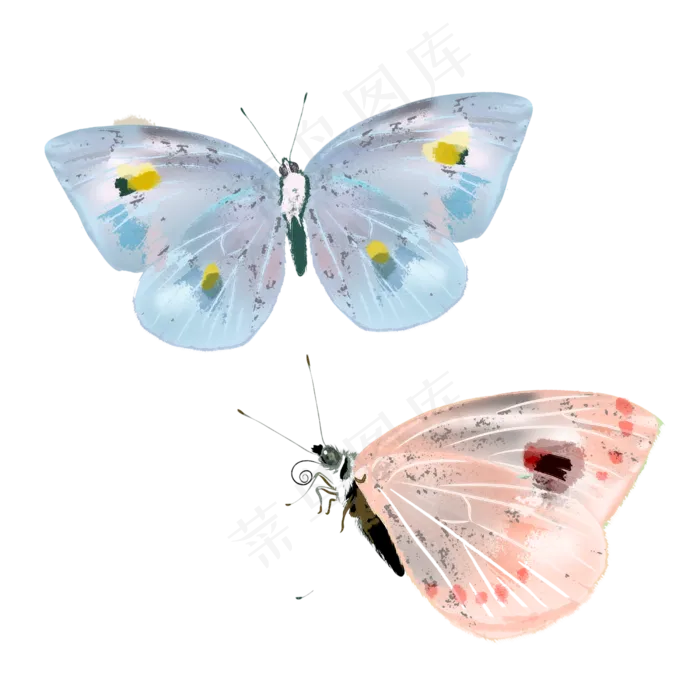 唯美蝴蝶透明翅膀,免抠元素(2500*2500px 300 dpi )psd模版下载