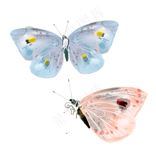 唯美蝴蝶透明翅膀,免抠元素