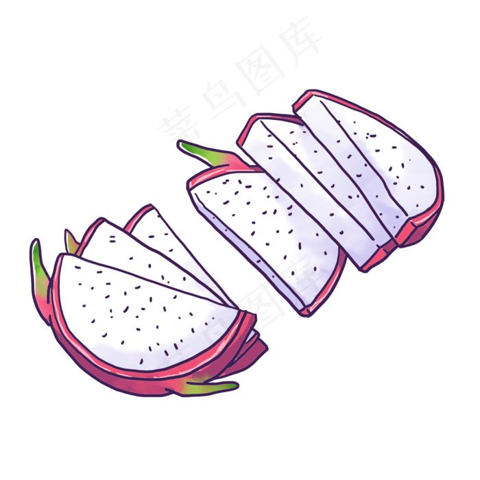 手绘白心火龙果切片PNG免抠素材