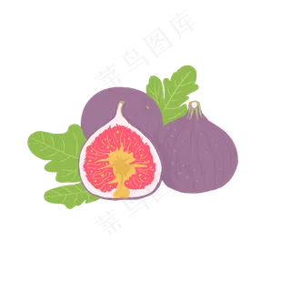 美味水果无花果