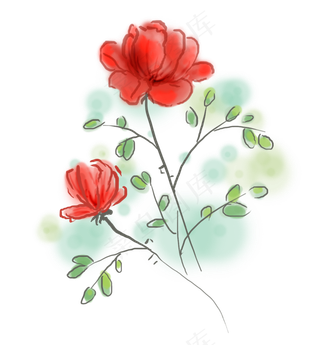 春天水粉红色玫瑰