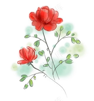 春天水粉红色玫瑰