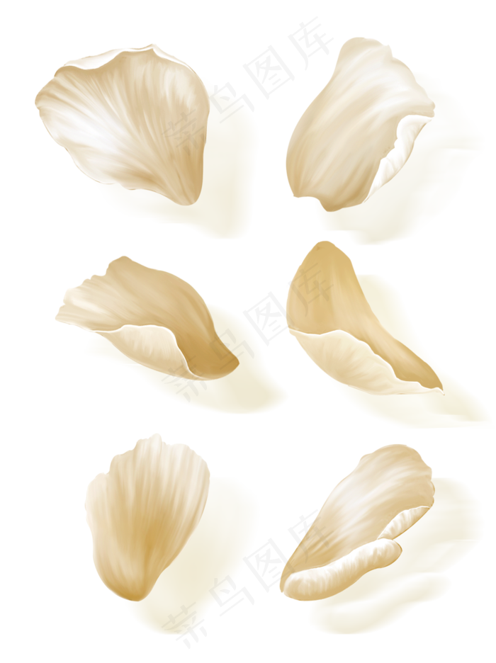 手绘花白色花瓣元素套图,免抠元素