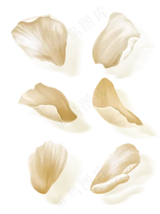 手绘花白色花瓣元素套图,免抠元素