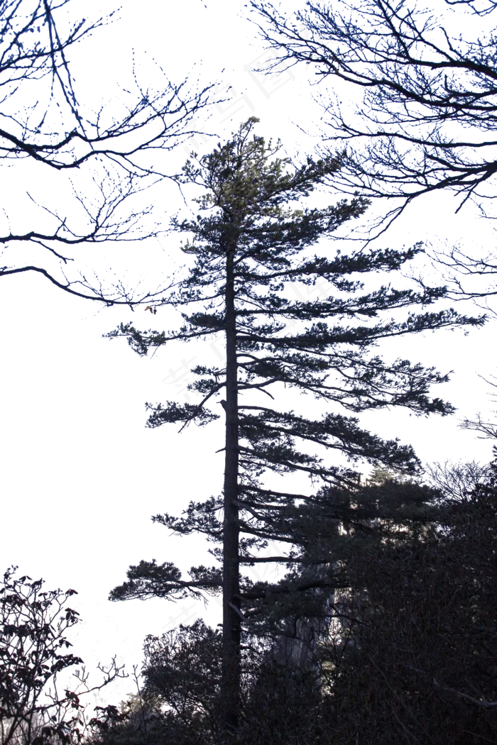 冬季荒芜萧条的大山(1333X2000(DPI:300))psd模版下载
