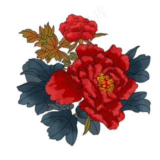 中国风手绘花卉插图,免抠元素 中国风手绘花卉插图,免抠元素