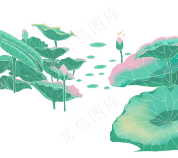 立夏荷花锦鲤荷花池塘