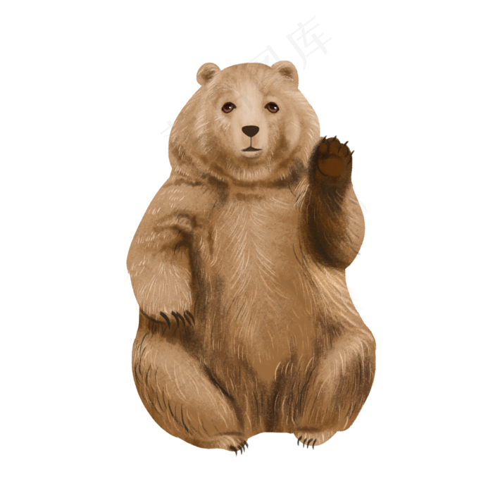 野生动物棕熊可爱萌,免抠元素
