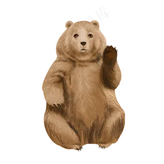 野生动物棕熊可爱萌,免抠元素