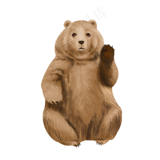 野生动物棕熊可爱萌,免抠元素