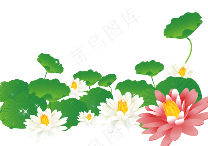 手绘池塘里的荷花跟荷叶矢量图,免抠元素