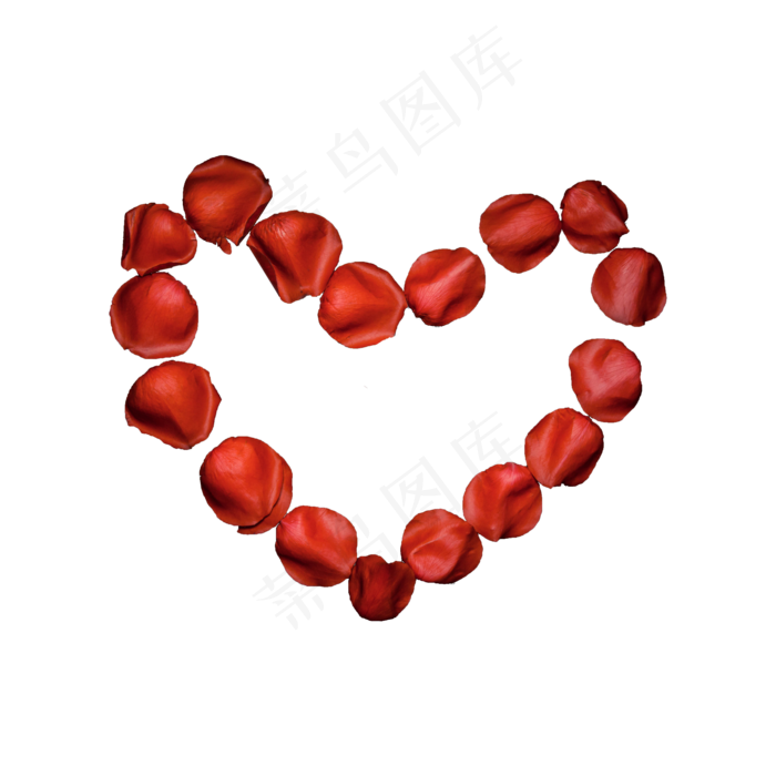 红玫瑰花瓣实拍（png免抠）