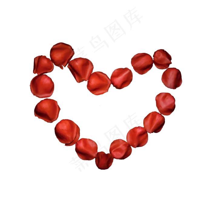 红玫瑰花瓣实拍（png免抠）(2000X2000(DPI:72))psd模版下载