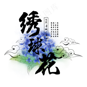 古风百花系列之绣球花