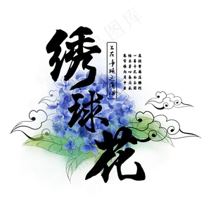 古风百花系列之绣球花