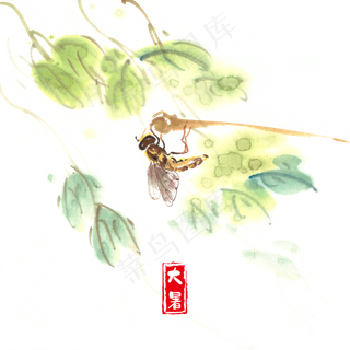 大暑树叶下的昆虫