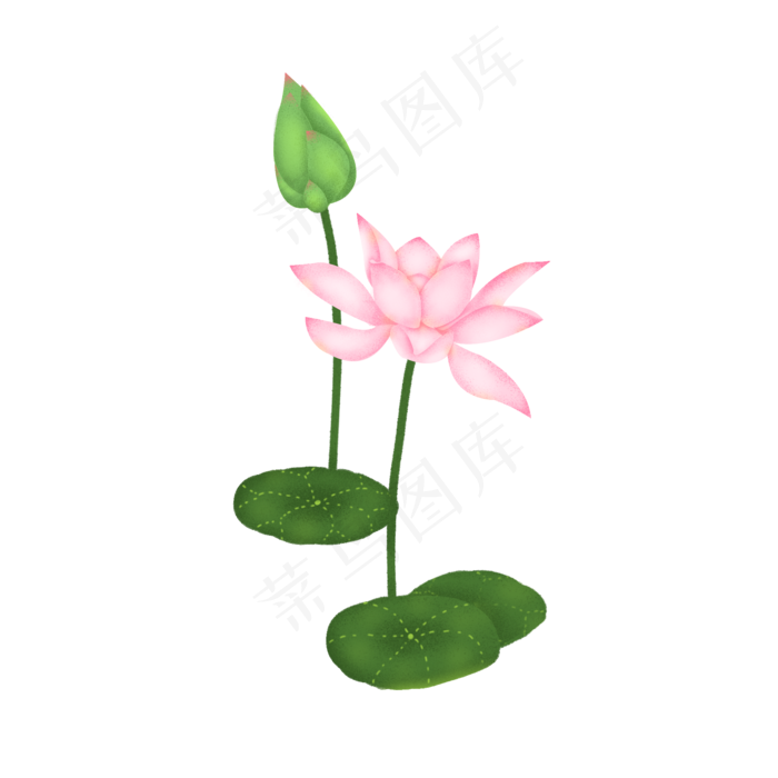 荷花花苞荷叶莲花(2000X2000(DPI:300))psd模版下载