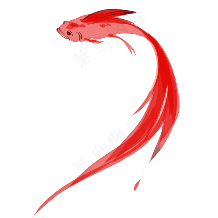 水彩风格手绘锦鲤红色(2000X2000(DPI:72))psd模版下载