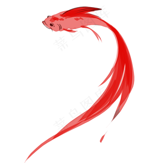 水彩风格手绘锦鲤红色