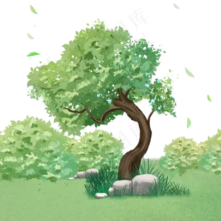 夏日枝繁叶茂的大树