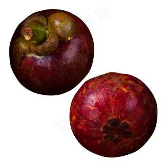 实拍果林果树水果果实