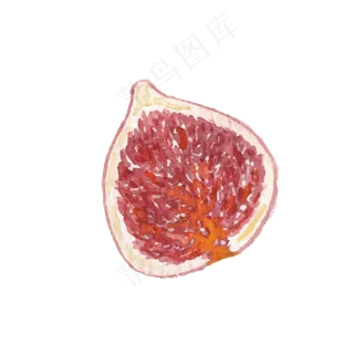 矢量图手绘无花果下载