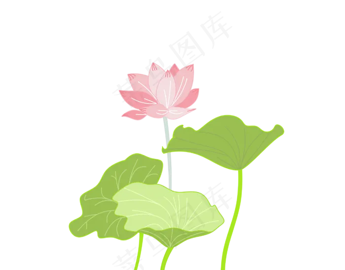 夏季荷花盛开荷叶围绕(2976X2336(DPI:299))psd模版下载