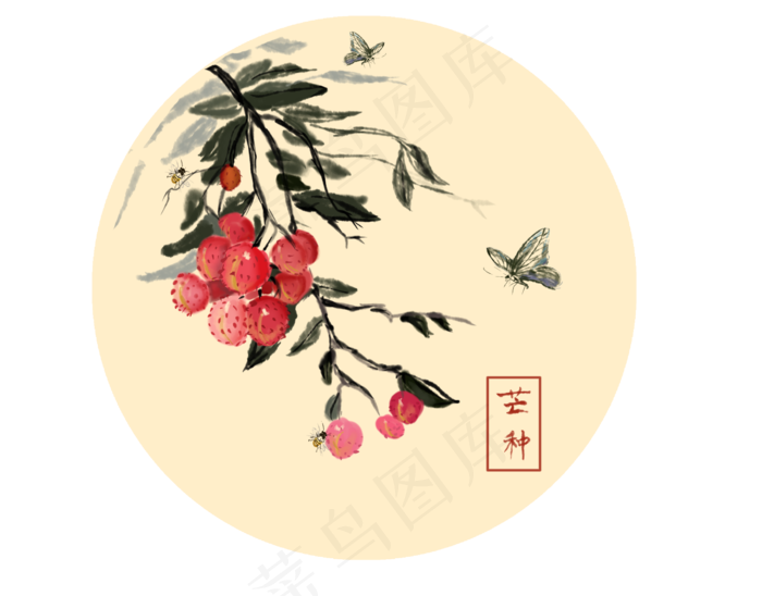 24节气芒种荔枝水墨画蝴蝶