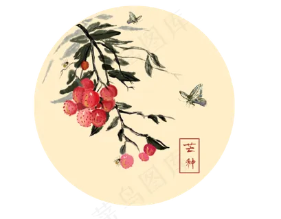 24节气芒种荔枝水墨画蝴蝶