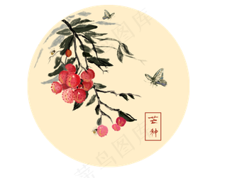 24节气芒种荔枝水墨画蝴蝶