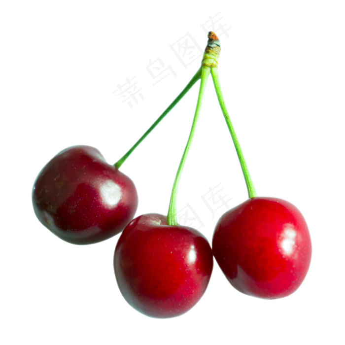 夏季水果樱桃车厘子