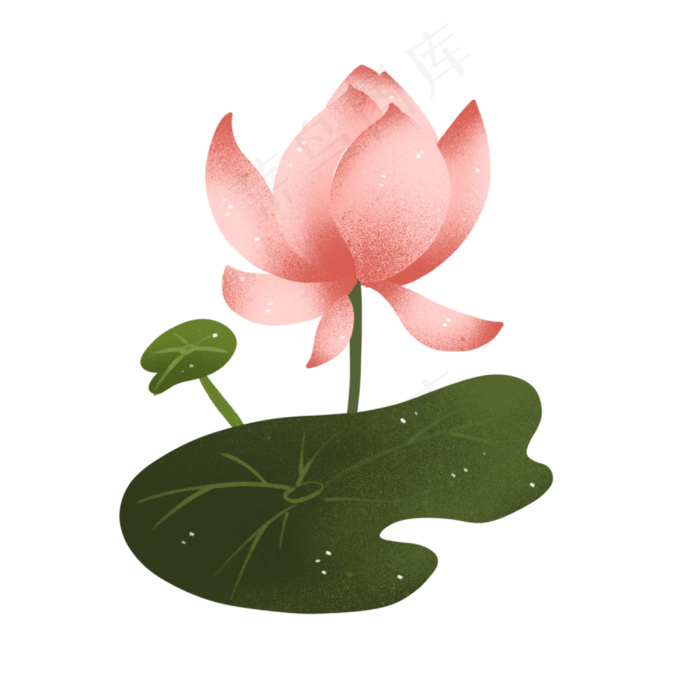 中国风荷花荷叶莲花(3000X3000(DPI:300))psd模版下载