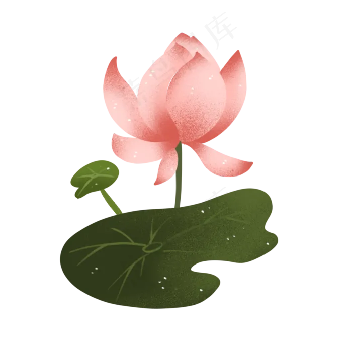 中国风荷花荷叶莲花(3000X3000(DPI:300))psd模版下载