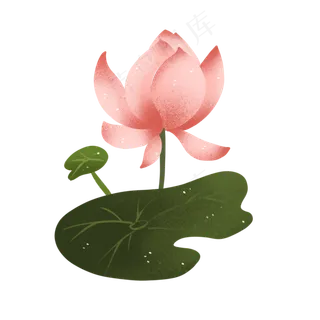 中国风荷花荷叶莲花