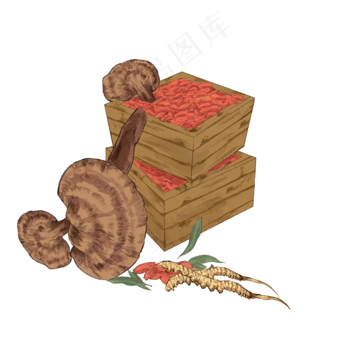 手绘彩色中药山人参灵芝装饰画,免抠元素(2000*2000px 300 dpi )psd模版下载