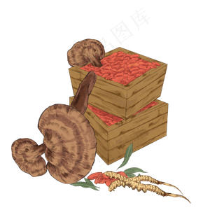 手绘彩色中药山人参灵芝装饰画,免抠元素