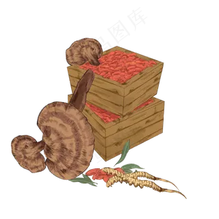 手绘彩色中药山人参灵芝装饰画,免抠元素