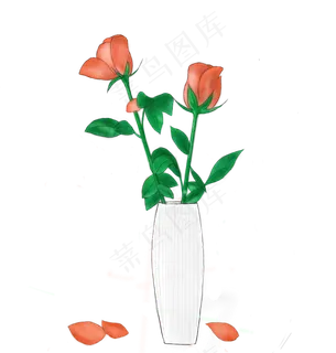 手绘香槟玫瑰插花艺术