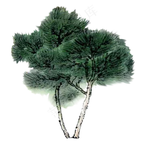 手绘中国风植物松树水墨画PNG