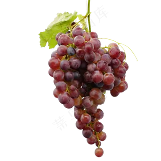 一大串葡萄