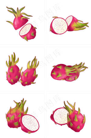 写实手绘各种火龙果插图PNG免