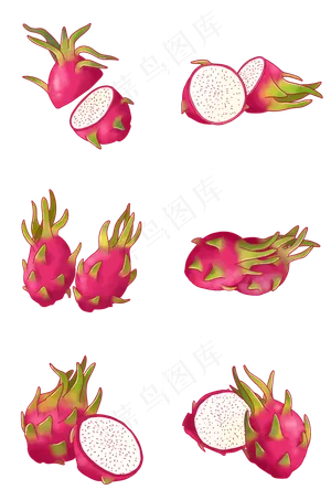 写实手绘各种火龙果插图PNG免
